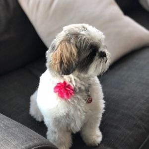 Meet your Posher, Gabriella